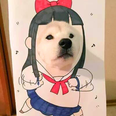 死党头像一左一右沙雕