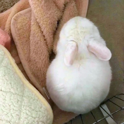 搞怪头像图片