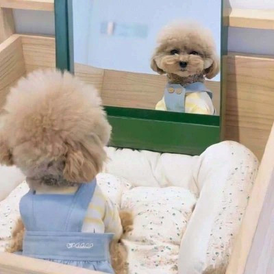 搞怪头像图片