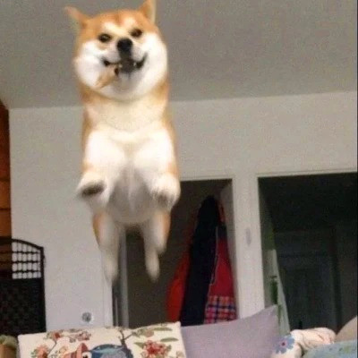 搞怪头像图片