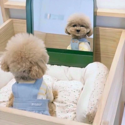搞怪头像图片