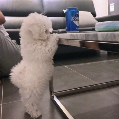 搞怪头像图片