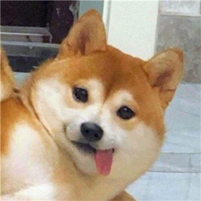 高级的搞怪头像图片
