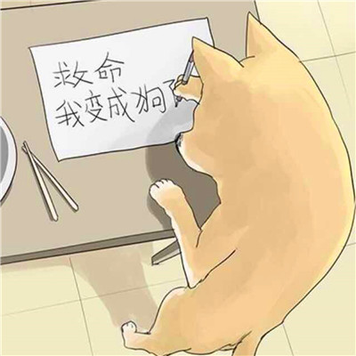 高级的搞怪头像图片