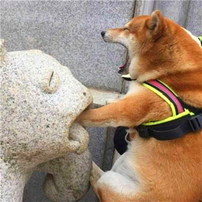 高级的搞怪头像图片