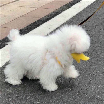 高级的搞怪头像图片