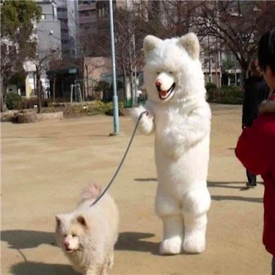 高级的搞怪头像图片