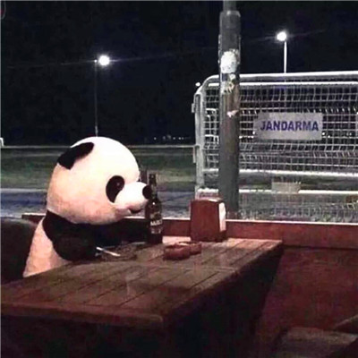 高质量沙雕头像