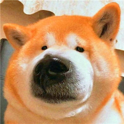 高质量沙雕头像