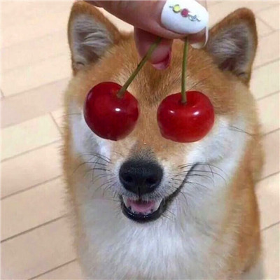 高质量沙雕头像