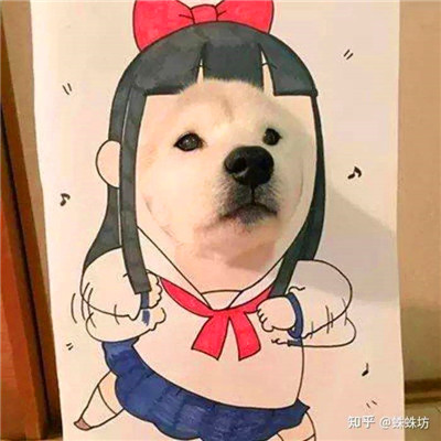 沙雕气质的头像