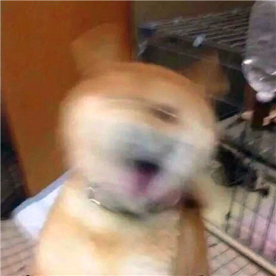 沙雕气质的头像