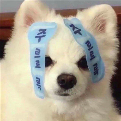 沙雕气质的头像