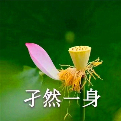 2025搞怪头像图片