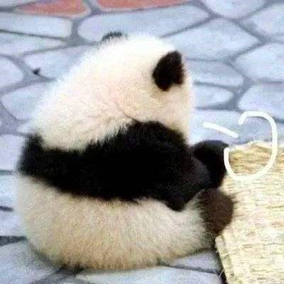 微信搞怪头像高清图片