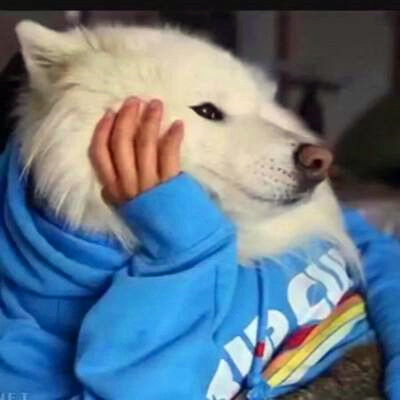 微信搞怪头像高清图片