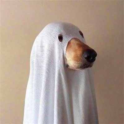 微信搞怪头像高清图片