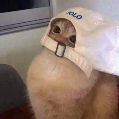 微信搞怪头像图片