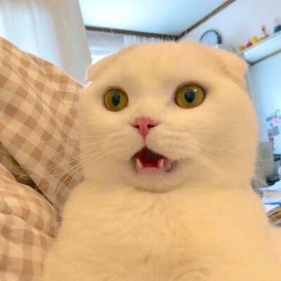 微信搞怪头像图片