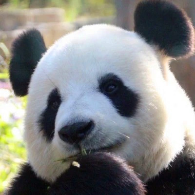 搞笑头像图片2025最火爆