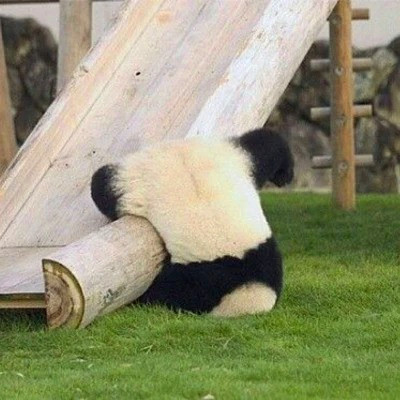 搞笑头像图片2025最火爆