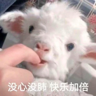 搞笑头像图片2025最火爆