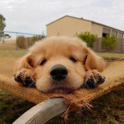 搞笑头像图片2025最火爆