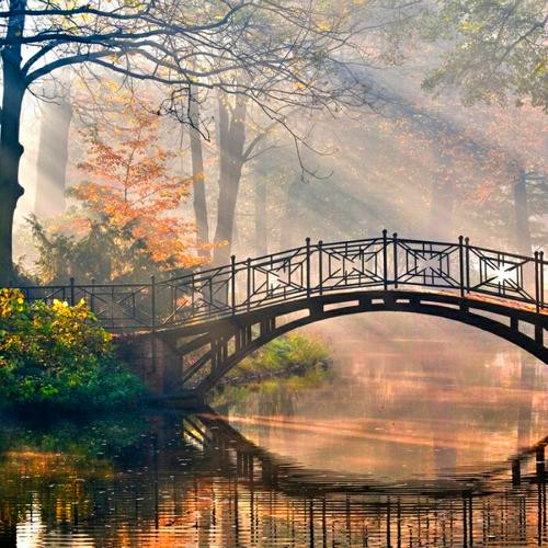 抖音图片最火头像风景