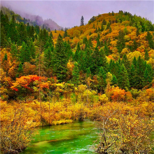 抖音图片最火头像风景