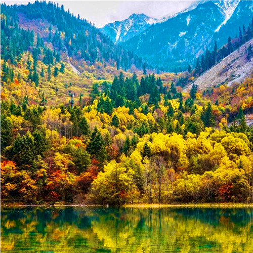 抖音图片最火头像风景