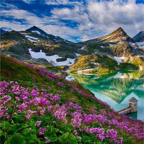 抖音图片最火头像风景
