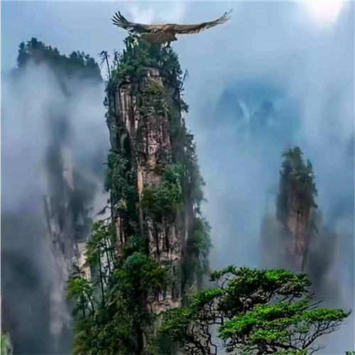 抖音图片最火头像风景