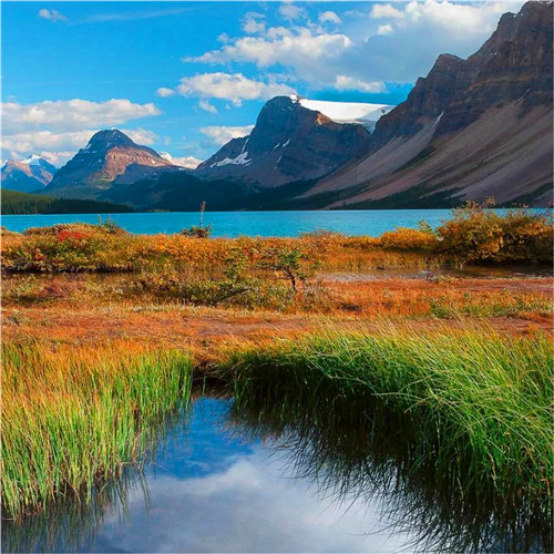 抖音图片最火头像风景