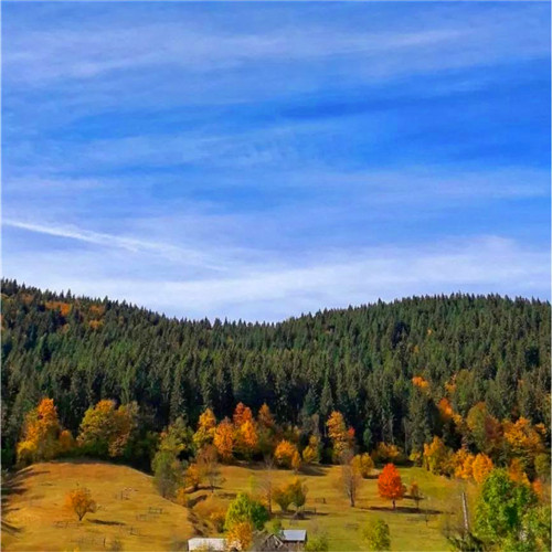 抖音图片最火头像风景