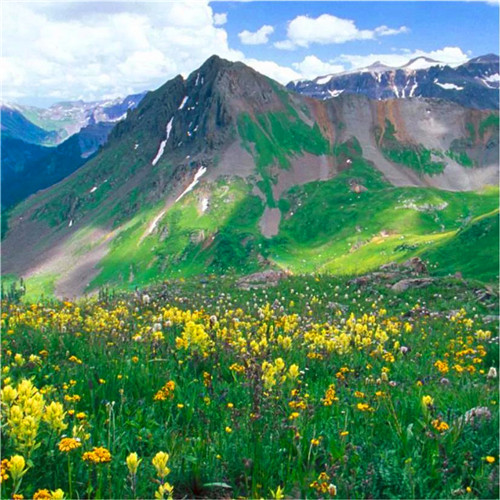抖音图片最火头像风景