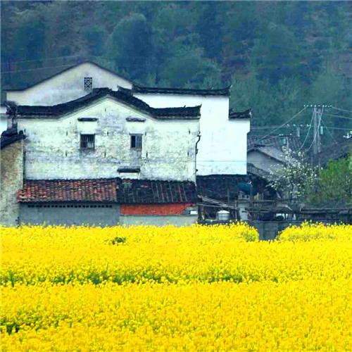 抖音图片最火头像风景