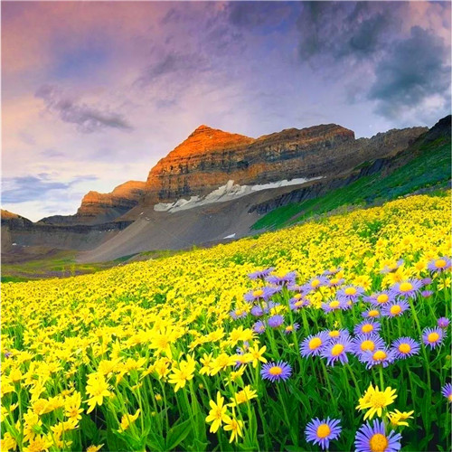 抖音图片最火头像风景