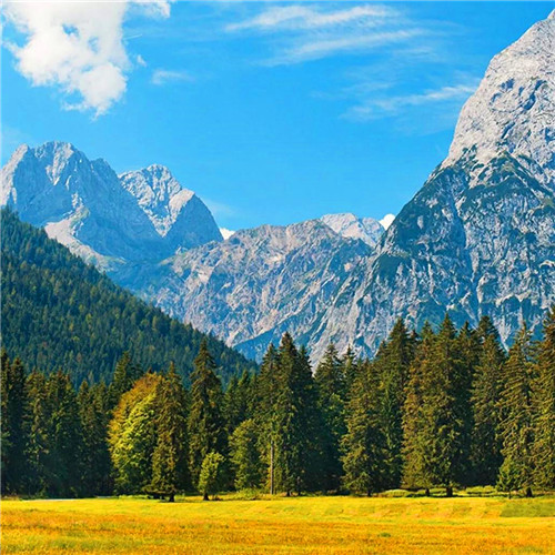 抖音图片最火头像风景