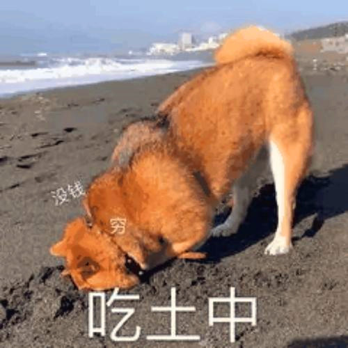抖音潮图搞怪头像图片
