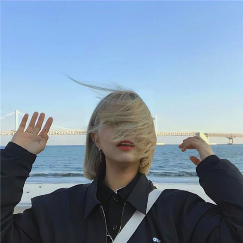 头像图片2025最火爆免费的下载