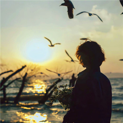 头像图片2025最火爆免费的下载