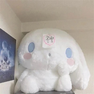 可爱玉桂狗头像图片