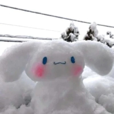 可爱玉桂狗头像图片