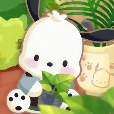 可爱帕恰狗头像图片