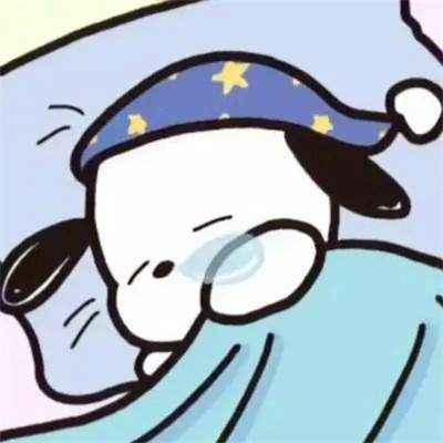 可爱帕恰狗头像图片