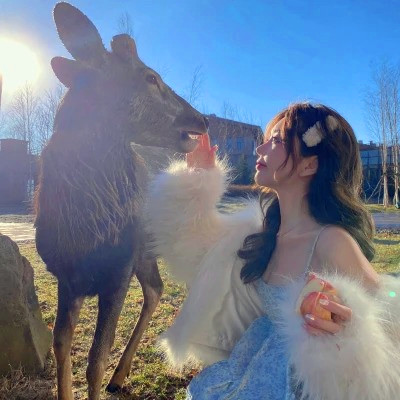 2025美女头像图片