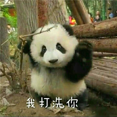 熊猫头表情包头像
