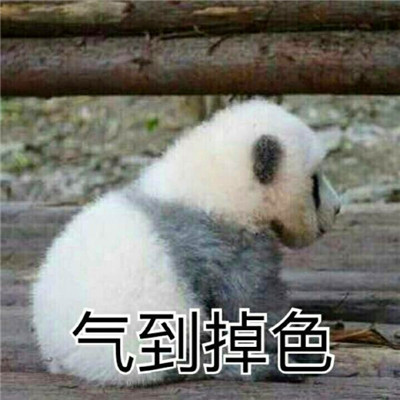 熊猫头表情包头像