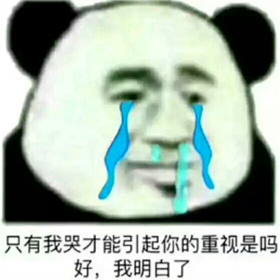熊猫头表情包头像