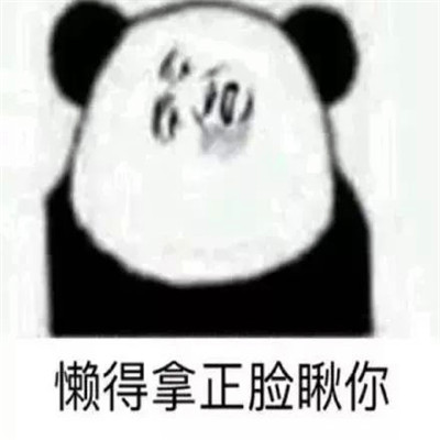 熊猫头表情包头像